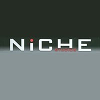 порно студии: Niche Studios