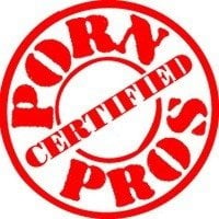 порно студии: Porn Pros