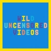 порно студии: Wild Uncensored Videos